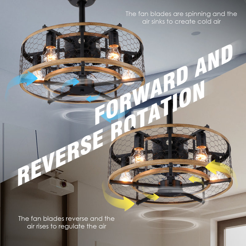 Gracie Oaks Deivids 20'' Industrial Ceiling Fan with Light Kit Reverse